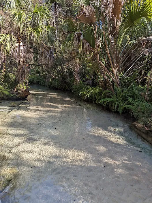 Juniper Springs Campground Picture 3