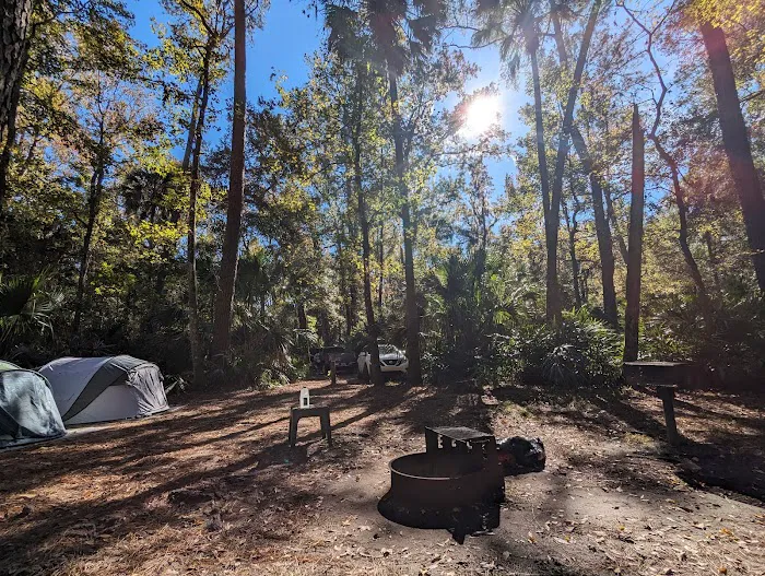 Juniper Springs Campground Picture 2