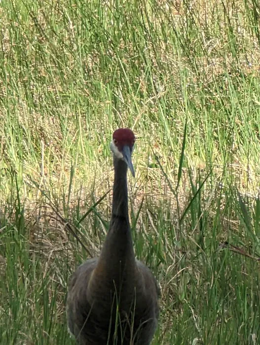 Camp Kiwanis Organizational Campground Picture 3
