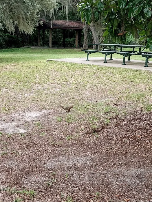 Mill Dam Group Campground Picture 9