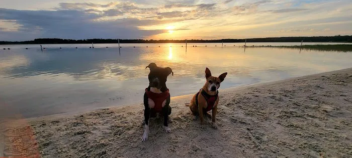 Mill Dam Group Campground Picture 7