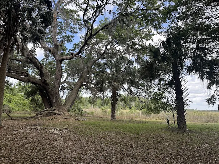 Lake in the Forest RV Resorts Picture 5