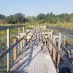 Lake in the Forest RV Resorts