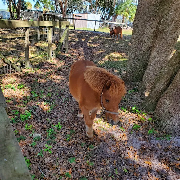Lake in the Forest RV Resorts Picture 10