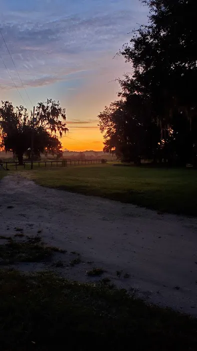 Lake in the Forest RV Resorts Picture 6