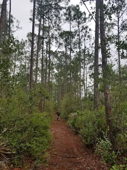 Buck Lake Group Campground Picture 2