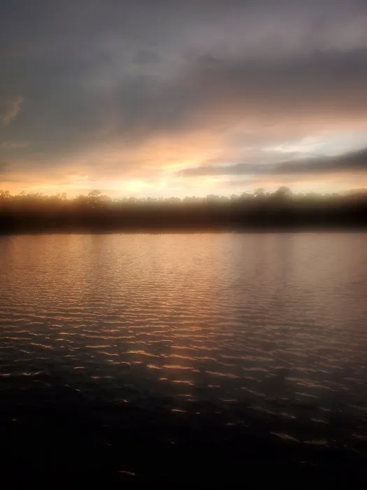 Buck Lake Group Campground Picture 8