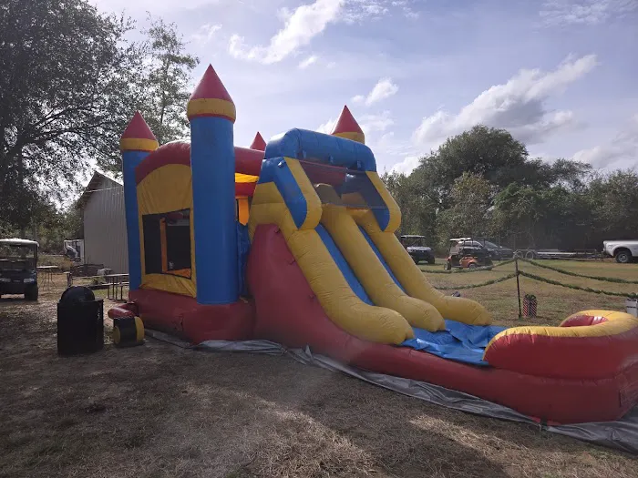 Lilypad Adventures Picture 3