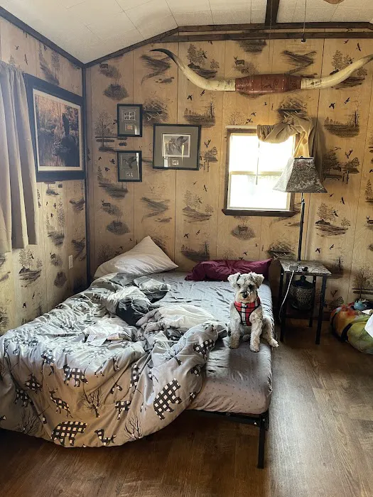 Lilypad Adventures Picture 13