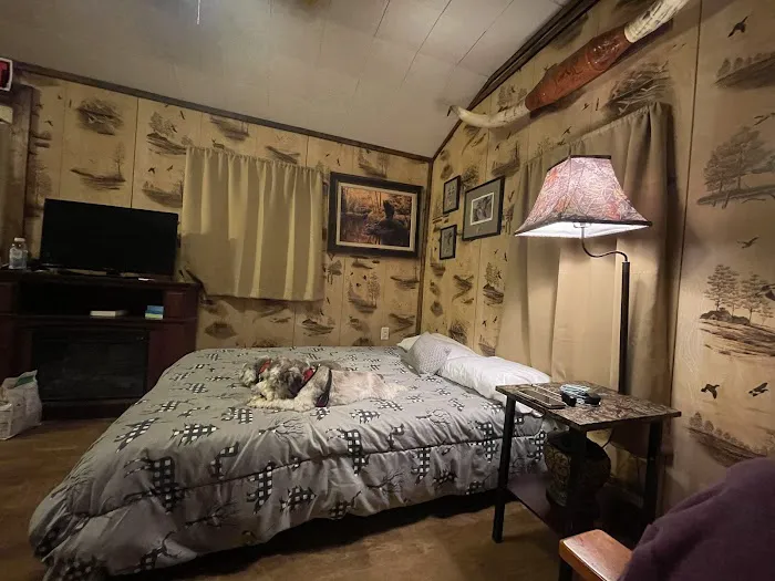 Lilypad Adventures Picture 14