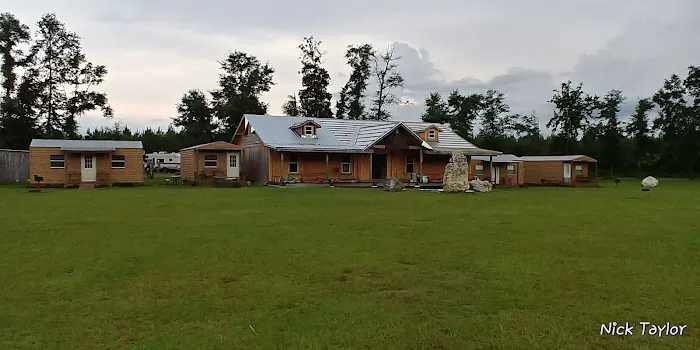 Lilypad Adventures Picture 9