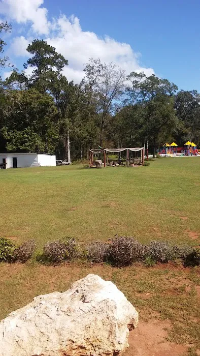 Lilypad Adventures Picture 18