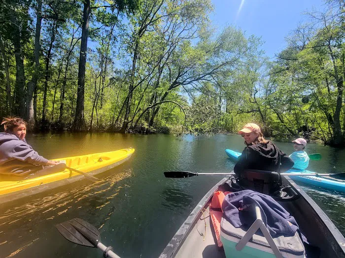 Lilypad Adventures Picture 17