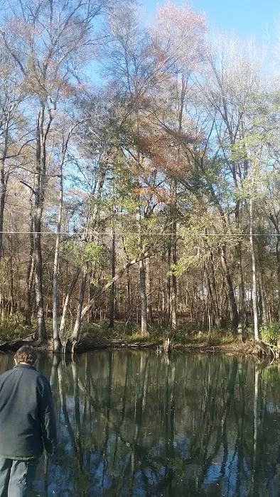 Lilypad Adventures Picture 12