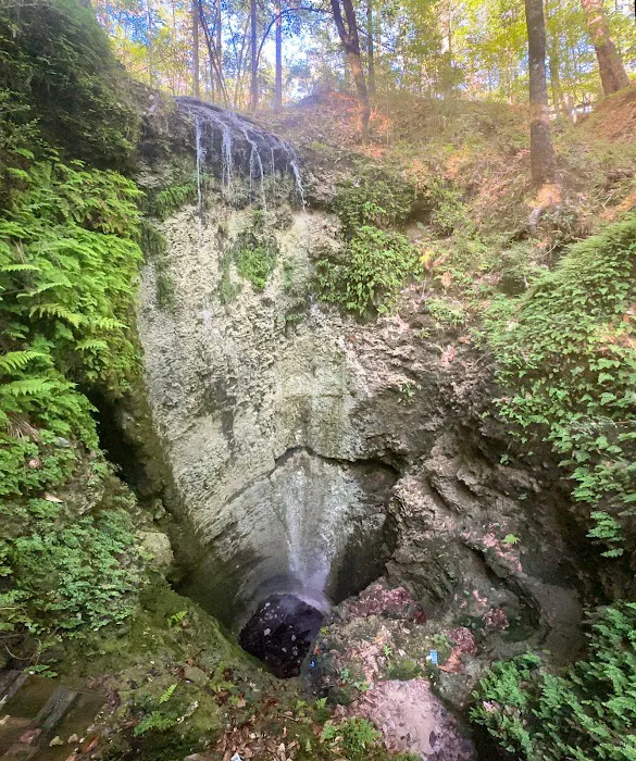 Falling Waters State Park Campground Picture 7