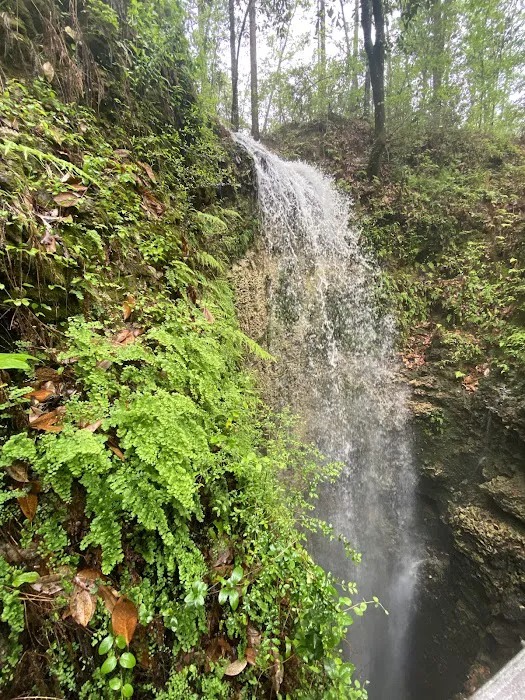 Falling Waters State Park Campground Picture 4