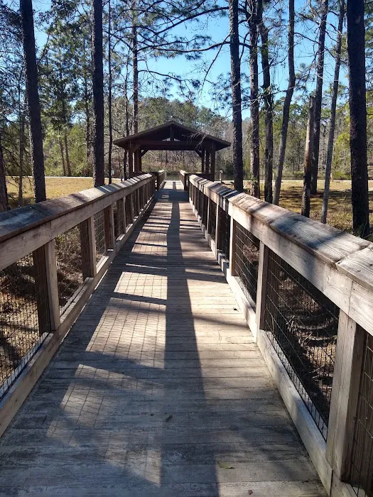 Falling Waters State Park Campground Picture 3