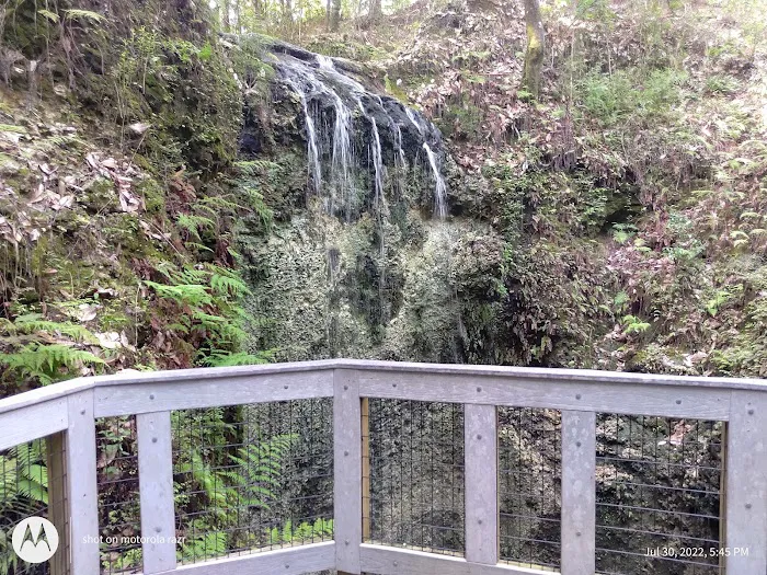 Falling Waters State Park Campground Picture 1