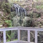 Falling Waters State Park Campground