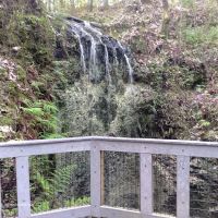 Falling Waters State Park Campground ico