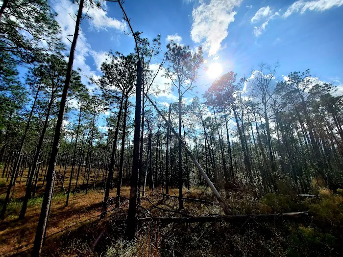 Falling Waters State Park Campground Picture 9