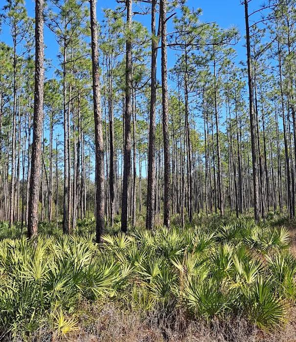 Buckhorn Camp Picture 2