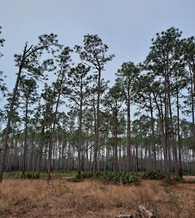 Buckhorn Camp Picture 1