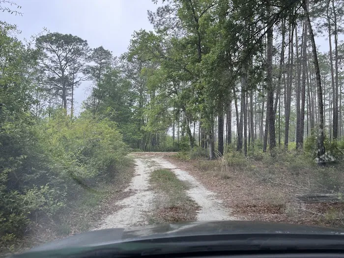 Otter Hunt Camp Picture 3