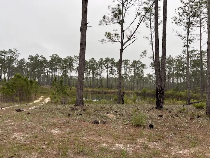 Otter Hunt Camp Picture 2