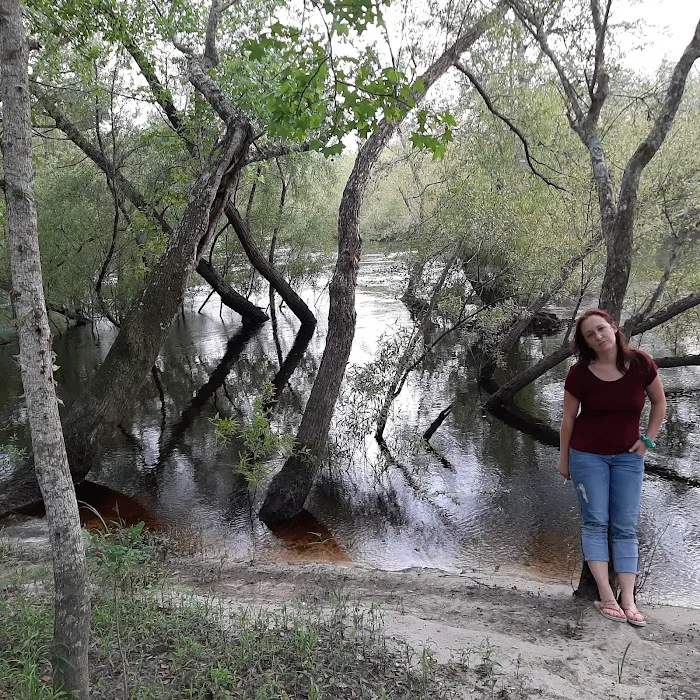 Piney Creek Landing Campground Picture 3