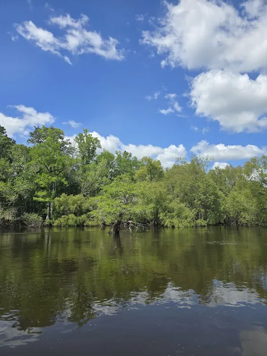 Piney Creek Landing Campground Picture 2