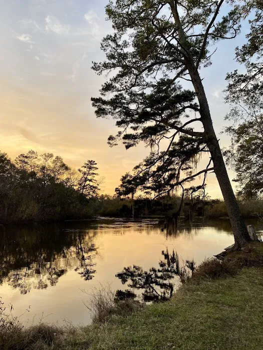 Piney Creek Landing Campground Picture 1