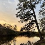 Piney Creek Landing Campground