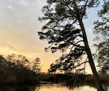 Piney Creek Landing Campground