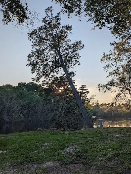 Piney Creek Landing Campground Picture 8