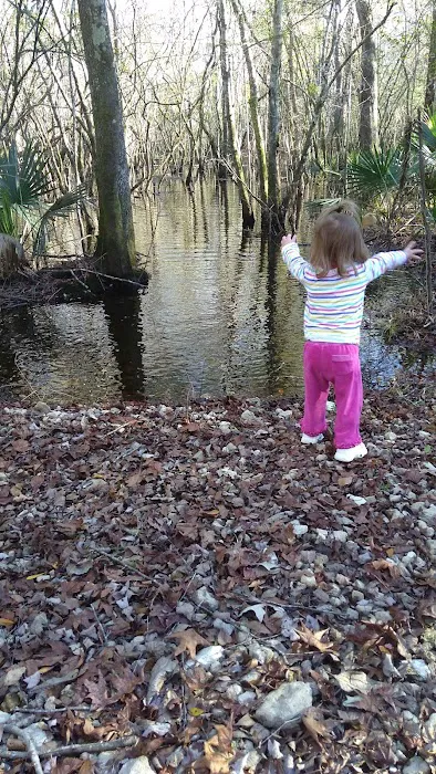 Piney Creek Landing Campground Picture 7