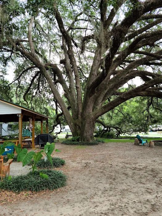 Big Oak RV Park Picture 3