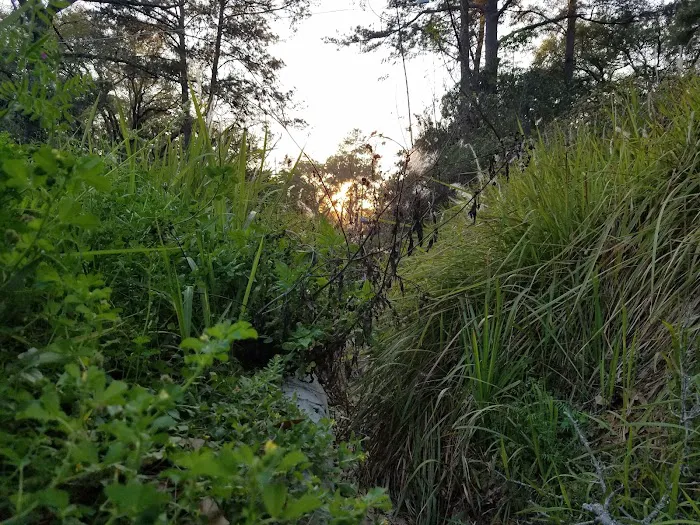 Big Oak RV Park Picture 9