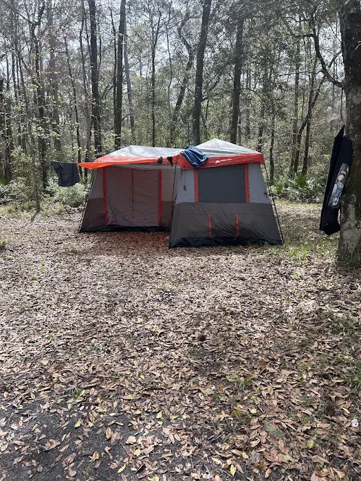 Whitehead Landing Picture 8