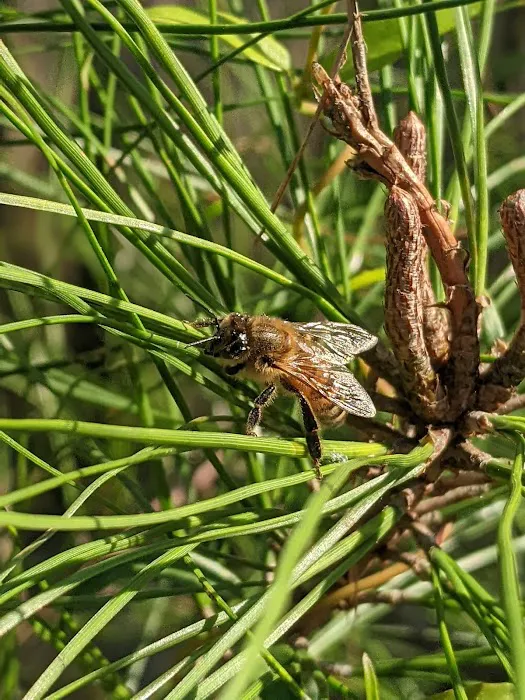 Whitehead Landing Picture 3