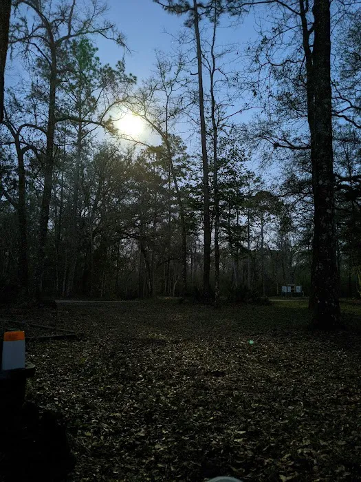 Whitehead Landing Picture 4