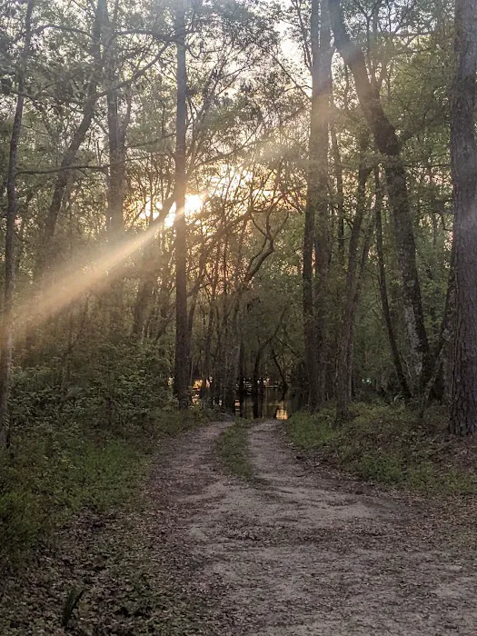 Whitehead Landing Picture 1