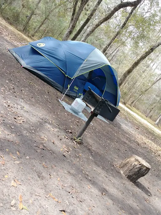 Whitehead Landing Picture 10