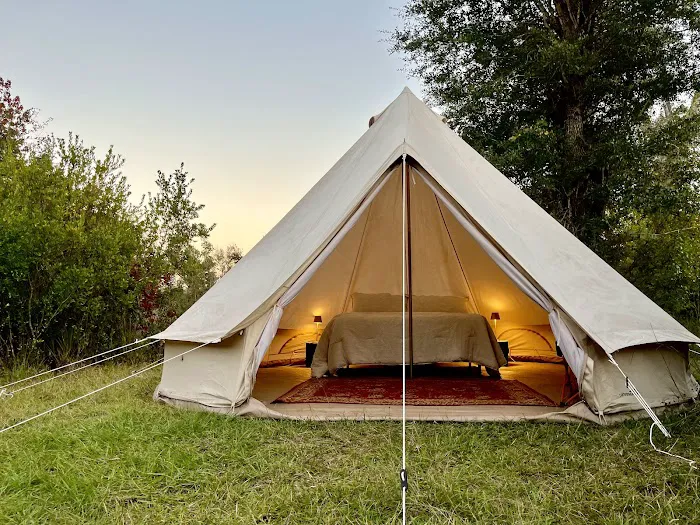 Scotts Ferry Picture 2