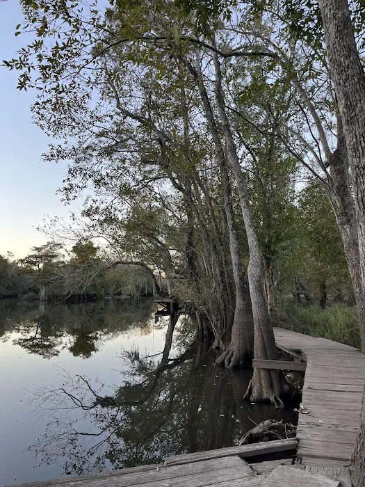 Scotts Ferry Picture 8