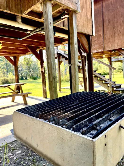 Scotts Ferry Picture 3