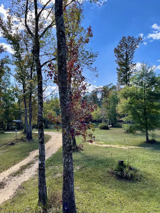 Scotts Ferry Picture 4