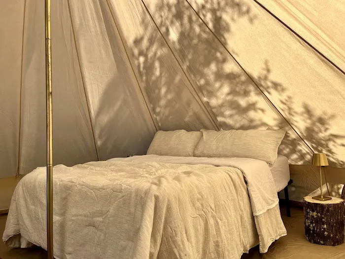 Scotts Ferry Picture 9