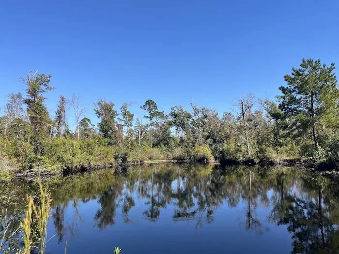 Scotts Ferry Picture 5