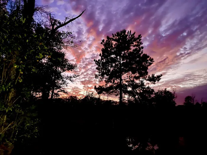 Scotts Ferry Picture 10